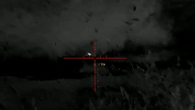 Отстрел крыс тепляк pard sa32-25 LRF смотреть онлайн