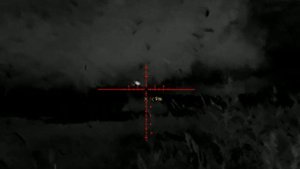 Отстрел крыс тепляк pard sa32-25 LRF