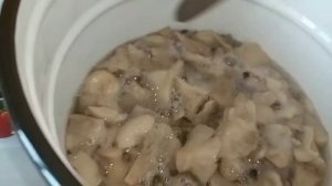 Как солить белые грузди горячим способом