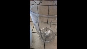 Philips 3000 series Blender HR2041/00 Test