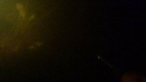Гостеприимный Петербург. Подводная охота Ладога в сентябре.