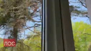 Дом в Сочи, п. Волковка 🌴☀️Видеообзор