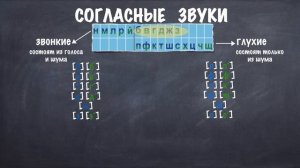 Парные по звонкости глухости согласные