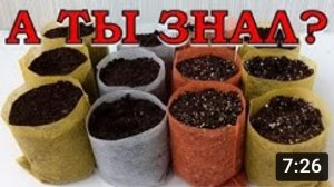 ЧУДО-СТАКАНЫ для рассады своими руками! Пикировка сеянцев???