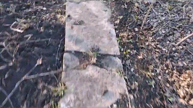 ДАЧА ПРЕВРАТИЛАСЬ В КОЛХОЗНОЕ ПОЛЕ смотреть онлайн