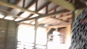 Правда от фермера с Дорперами. Все сам один на 300 голов овец. #dorper #dorpersheep #дорпер #тренды