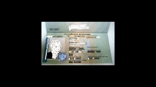 Дипломатический паспорт гражданина РФ: что это дает