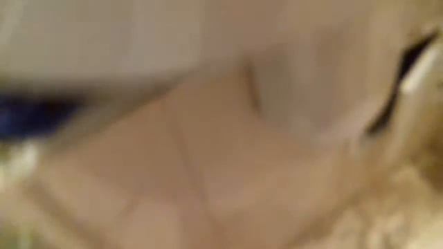 Моем колесо для хомячка