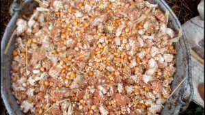 дробилка початков кукурузы, универсальная корморезка