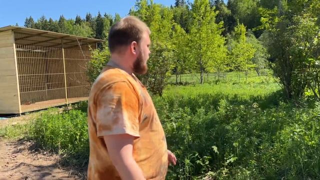 СТРОИМ НОВЫЙ ВОЛЬЕР! Для кого же? Готовимся к открытию, чтобы Вам было интересно! ПАРК ЗЕМЛЯ ПРАЙДА смотреть онлайн