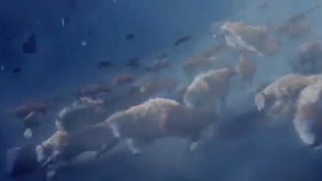 Justice - Civilization - OFFICIAL VIDEO - mp4