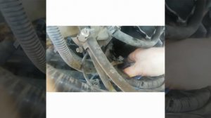 Замена термостата на 4216, на Соболе