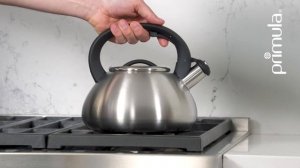 Primula Avalon Whistling Stovetop Tea Kettle Food Grade Stainless Steel