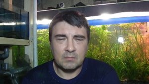 Диатомовые водоросли. Как бороться.