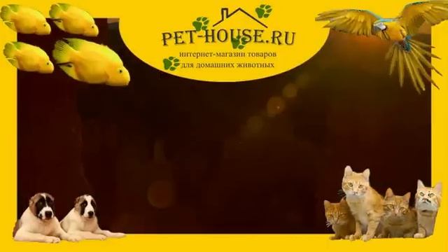 Интернет зоомагазин, купить корм и товары для домашних животных на PET-HOUSE. ru смотреть онлайн
