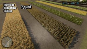 Сколько созревают разные культуры в Farming Simulator 22