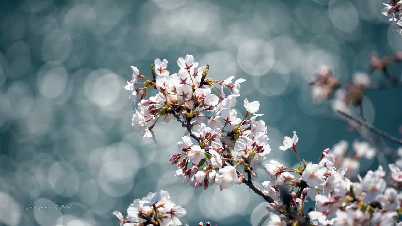 ♪ Tony Igy - It's Beautifull It's Enough | Dmitry Glushkov remix | смотреть онлайн