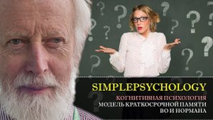 Когнитивная психология памяти #39. Модель кратковременной памяти Во и Нормана.