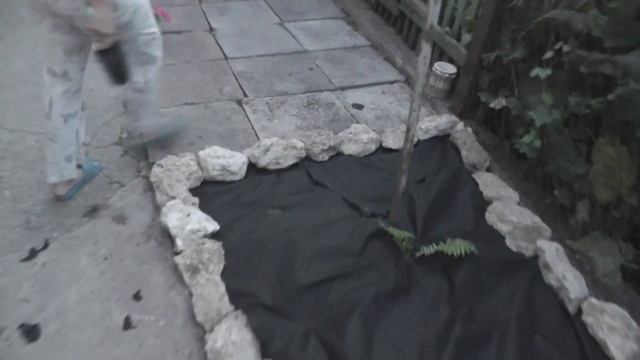 Альпийская горка своими руками
