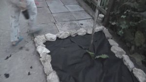 Альпийская горка своими руками
