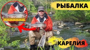 Сумасшедшая рыбалка в Карелии / Crazy fishing in Karelia