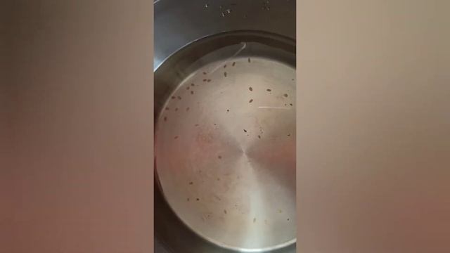 ПОМИДОРЫ ЧЕРИ НА ЗИМУ с чесноком смотреть онлайн