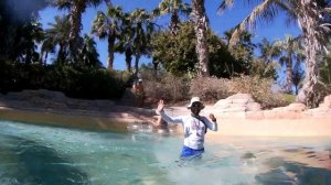 АКВАПАРК АТЛАНТИС Aquaventure Waterpark САМЫЙ БОЛЬШОЙ АКВАПАРК В ДУБАЕ