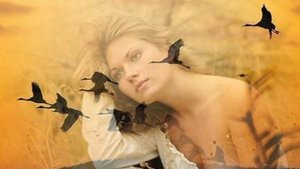 Как люблю я тебя... Сл., муз., исполнение Евгений Бобков