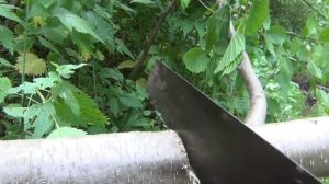 Ольха / Ольховая стружка и опилки используются при копчении мяса и рыбы