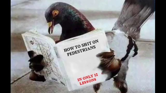 Ismo Alanko - Pulu смотреть онлайн