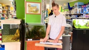 Обзор лучших ярких светильников для аквариума