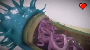 Строение бактерии в 3d. Видео с канала "Мысли Биолога"