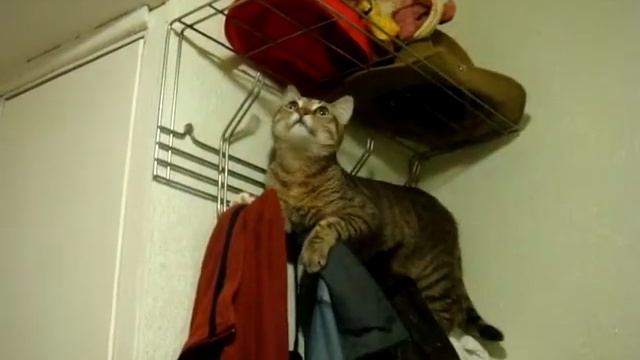 Почему на одежде затяжки смотреть онлайн