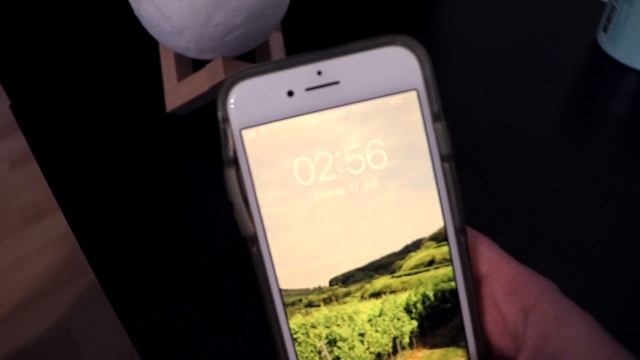 Owning Guinea Pigs: Expectations vs. Reality смотреть онлайн