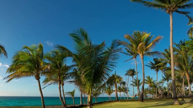 Manolo Sanlúcar. Peineta Cubana смотреть онлайн