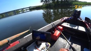 СОМ НА КВОК. Почему не хочет клевать?