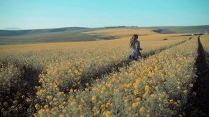 Изменение восприятия: эмоции и самооценка Переосмысление ЭМОЦИЙ: Почему нет негативных эмоций