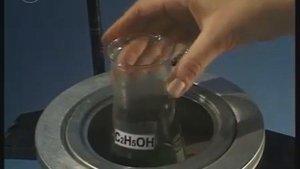 Биологический эксперимент ЕГЭ, ОГЭ. Образование крахмала растением.