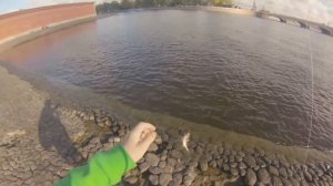 рыбалка петропавловская крепость Санкт Петербург 2015