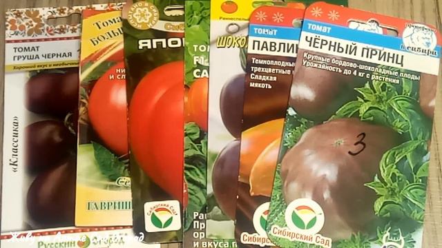 ЭТИ ТОМАТЫ Я НЕ БУДУ ВЫРАЩИВАТЬ/рассказываю почему смотреть онлайн