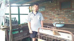 Чем кормить нутрий. Нутрии. Безотходное содержание нутрий .