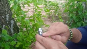 Стоит ли покупать нож Opinel.