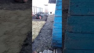 Выложил двор кирпичём