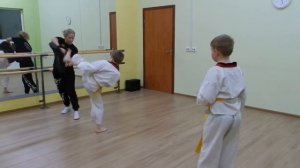 Тхэквондо - удары ногами