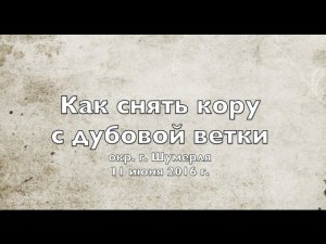 Как снять кору с дубовой ветки