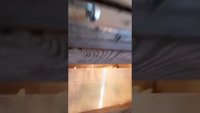 Обзор нашей фермы! Много птичек не бывает! смотреть онлайн