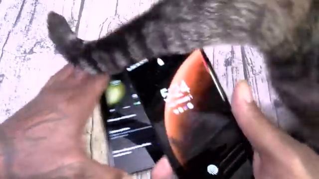 Samsung Galaxy S23 Ultra - Unboxing and First Impressions смотреть онлайн