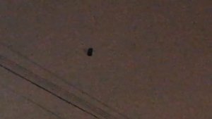 Путешествие лампы накаливания 40вт