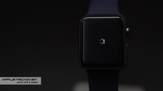 Factory Reset Apple Watch without iPhone
