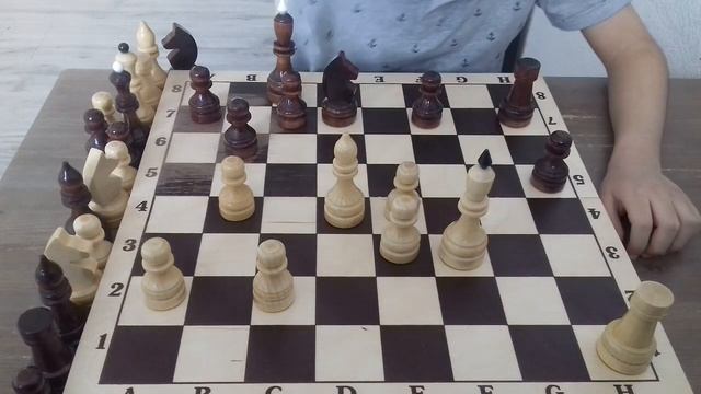 Шахматы. Партия Петросян Н -Петросян Г.Выигрыш белыми. смотреть онлайн